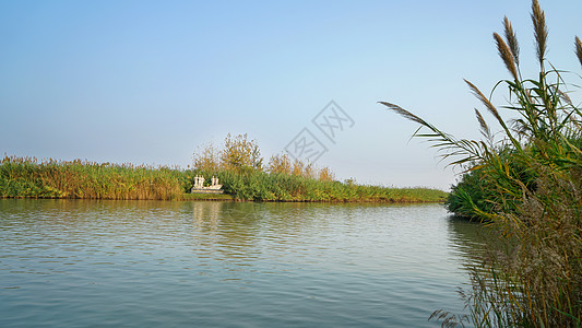 泗洪洪泽湖湿地公园背景图片