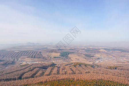 大夫山森林公园延边帽儿山国家森林公园背景