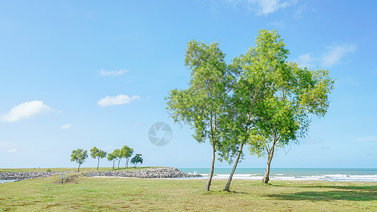 文莱热带海滨风光图片