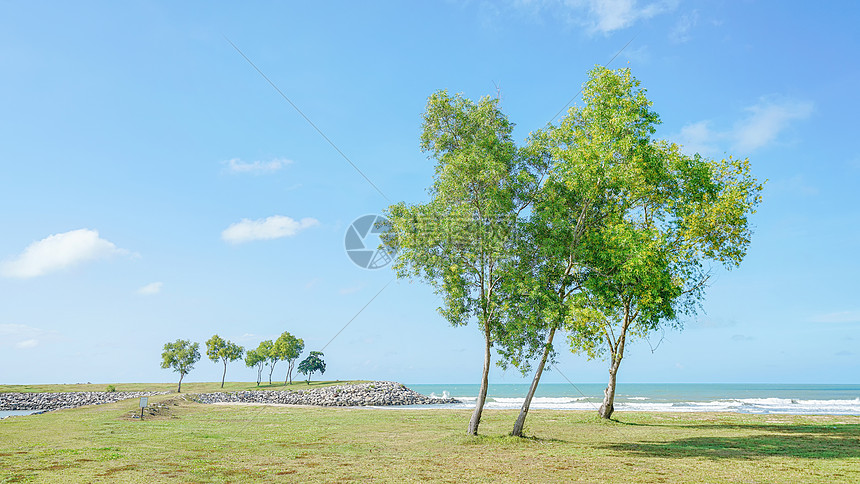 文莱热带海滨风光图片