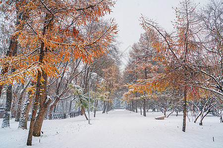 哈萨克斯坦达塔利加尔山雪山背景图片