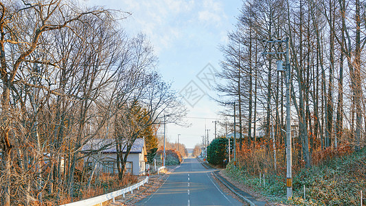 北海道渔场日本北海道阿寒摩周国立公园道路背景