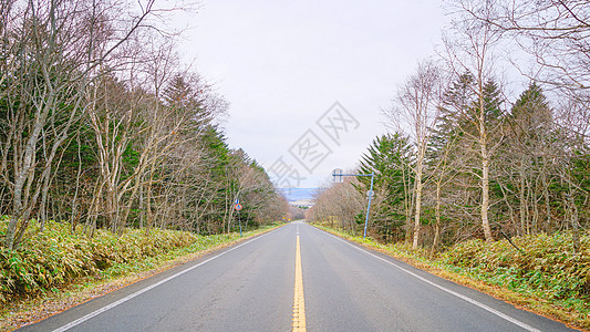 日本北海道阿寒摩周国立公园道路图片