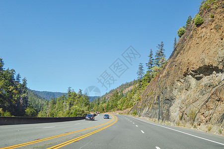 美国1号公路美国一号公路沿途森林背景