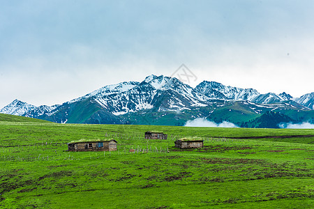 新疆天山草原木屋图片
