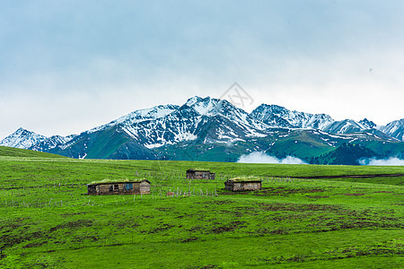 新疆天山草原木屋背景图片