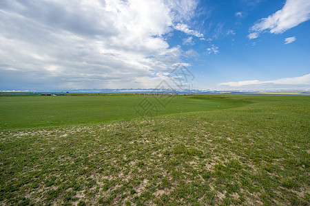 新疆草原背景图片