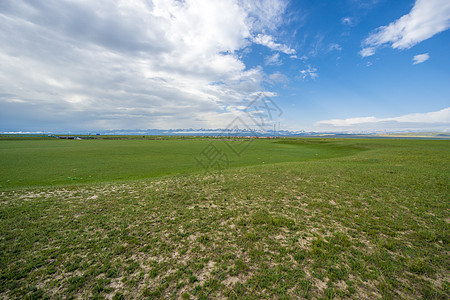 草原风景背景图片 草原风景背景素材 草原风景底图 摄图网