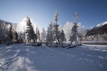 新疆喀纳斯冬季雪景图片