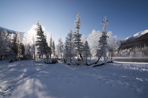 新疆喀纳斯冬季雪景图片