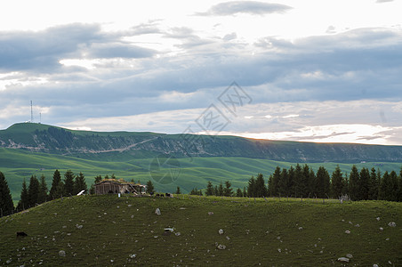新疆山区自然草场图片