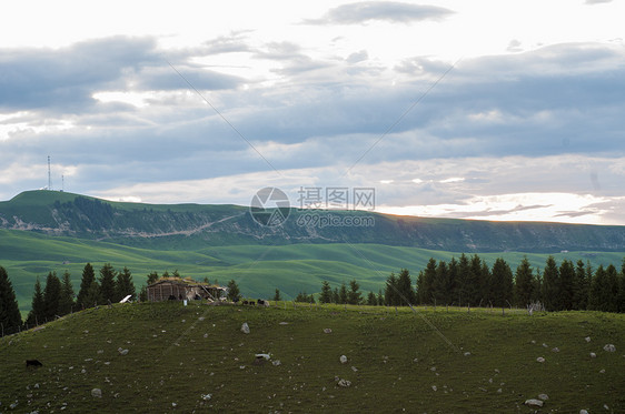 新疆山区自然草场图片