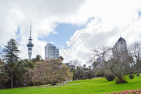 新西兰奥克兰公园风光图片