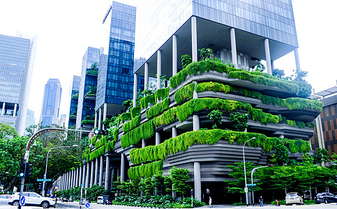新加坡建筑风景新加坡绿色建筑背景
