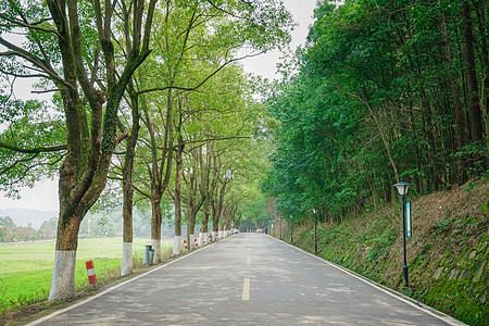 湘潭韶山景区韶山旅游风景区背景