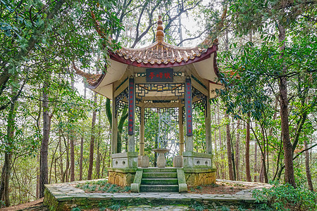 韶山风景区韶山旅游风景区背景