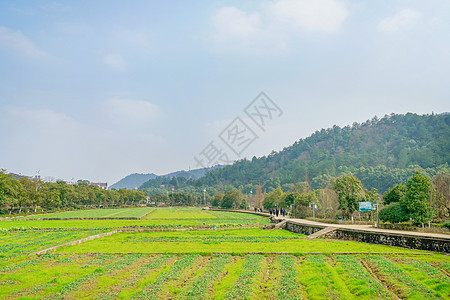 湘潭韶山景区韶山田园风光背景