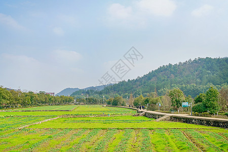 韶山田园风光图片