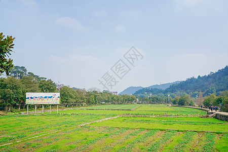 湘潭韶山景区韶山田园风光背景