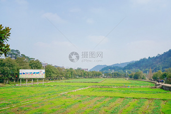 韶山田园风光图片