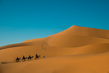 沙漠中前进的驼队图片