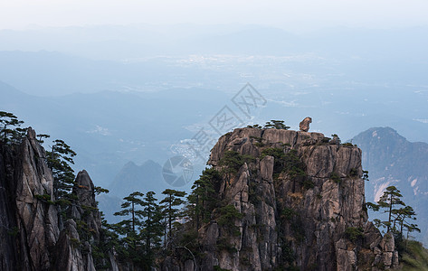 黄山石猴图片