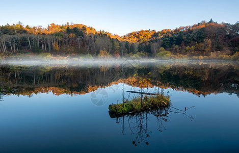 生机勃勃秋天的风景背景