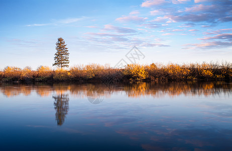 秋分banner秋天的风景背景