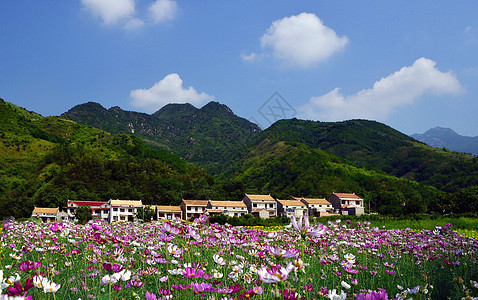 新农村发展开满鲜花的社会主义新农村背景