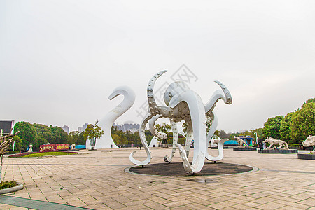 南昌动物园章鱼雕塑背景图片