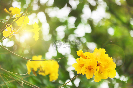 春暖花开图片