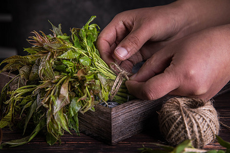 香椿新鲜叶菜高清图片