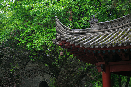 雨中小雁塔景区亭子背景图片