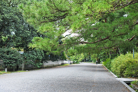京都御苑道路图片