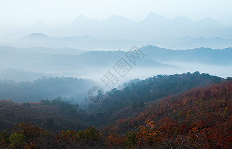 美景图秋天的美景背景