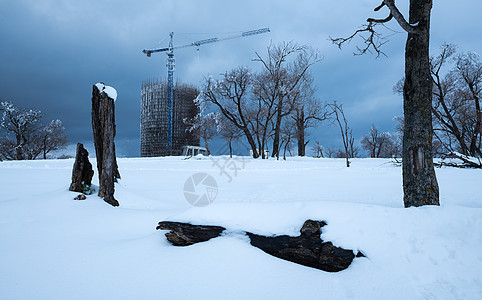 冬日暖阳雪景大雪高清图片素材