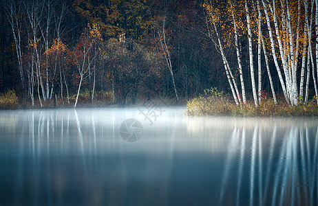 秋膘在水一方风景背景