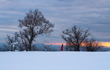 冬日暖阳雪景小寒高清图片素材