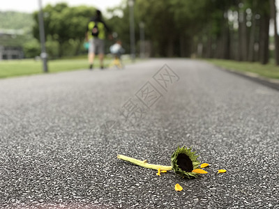 道路花图片 道路花素材 道路花高清图片 摄图网图片下载
