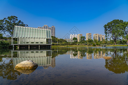 深圳香蜜公园城市背景