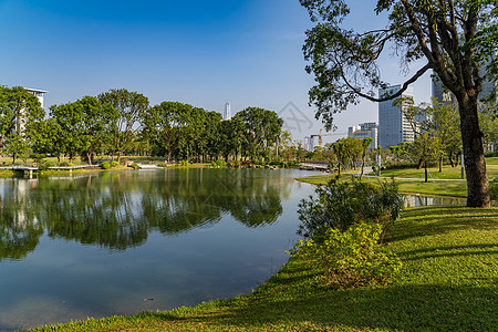 深圳香蜜公园背景