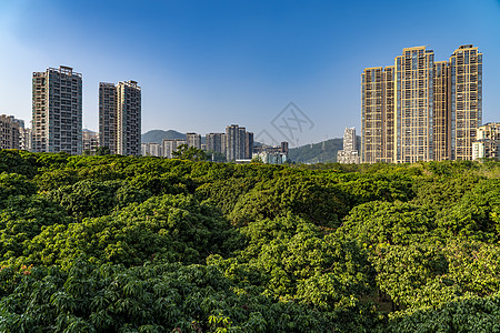 深圳香蜜公园深圳城市建筑背景