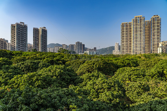 深圳城市建筑图片