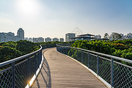 深圳香蜜公园道路背景