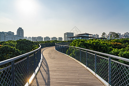 深圳香蜜公园道路图片