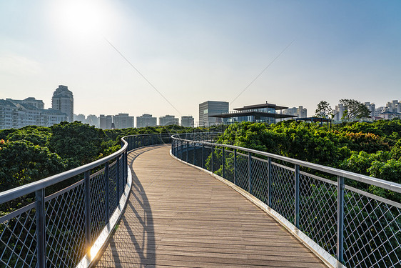 深圳香蜜公园道路图片