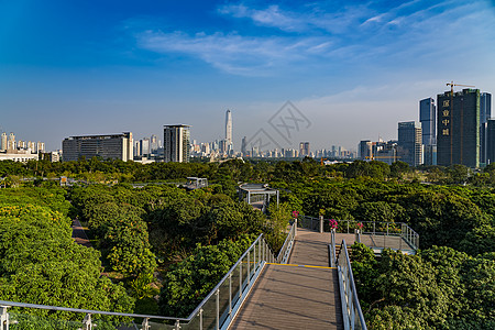 深圳香蜜公园景观背景