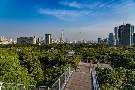 深圳香蜜公园景观图片