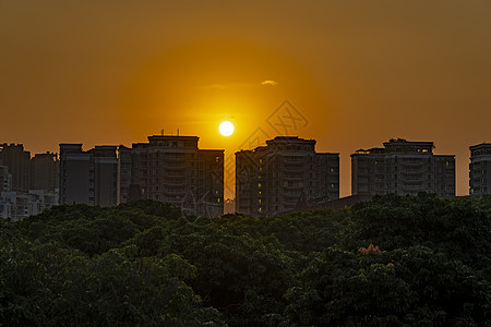 深圳香蜜公园日落的楼房图片