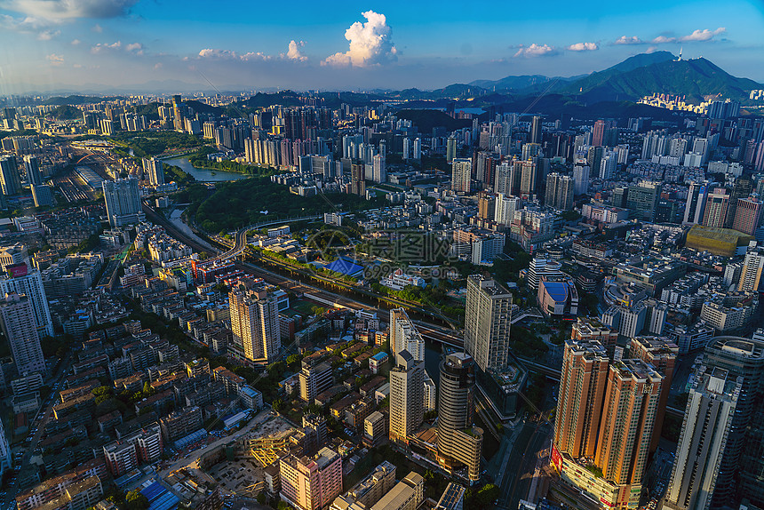 深圳罗湖区城市建筑群图片